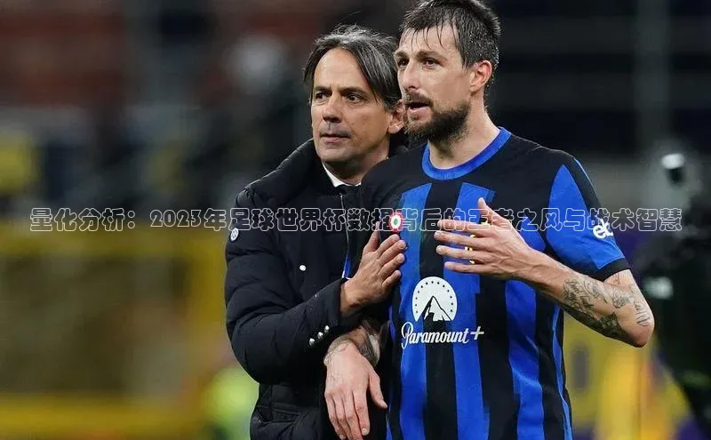 易游体育app下载宣亚国际量化分析：2023年足球世界杯数据背后的王者之风与战术智慧