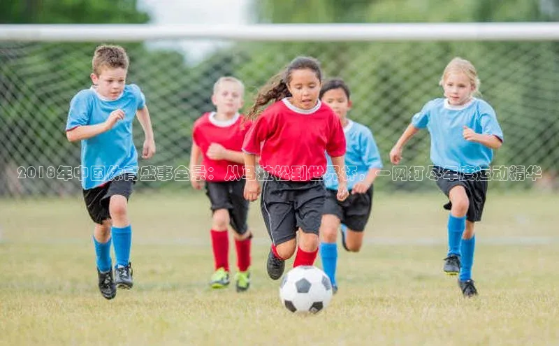 2018年中国体育盛事全景：从马拉松到世界杯，一网打尽年度运动精华