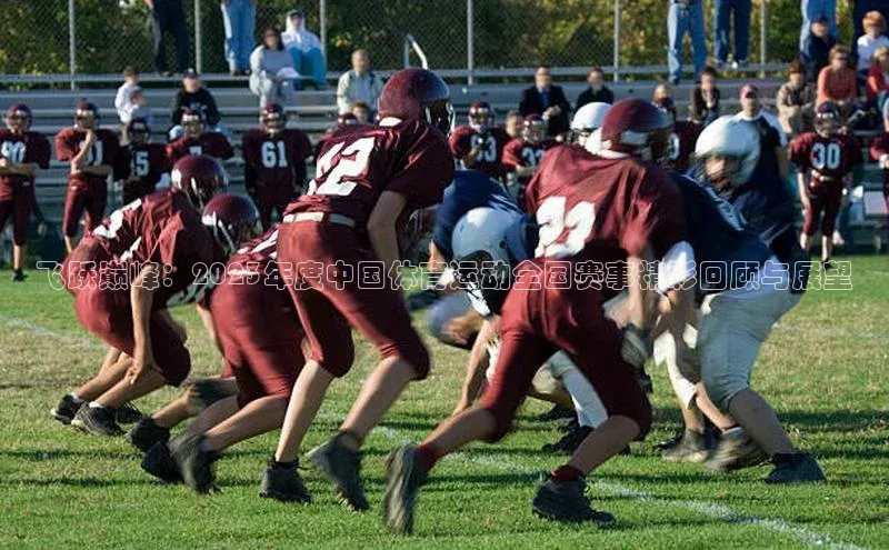 飞跃巅峰：2023年度中国体育运动全国赛事精彩回顾与展望