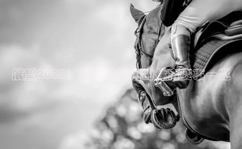 展望2023：全球最热门的体育赛事一览