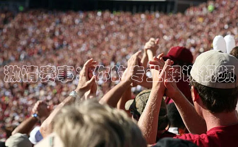 激情赛事：你的专业解说视频