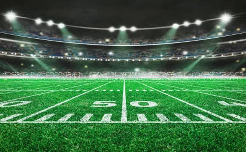 绿茵场上的青春旋律：学校春季运动会赛事策划与执行模版分享