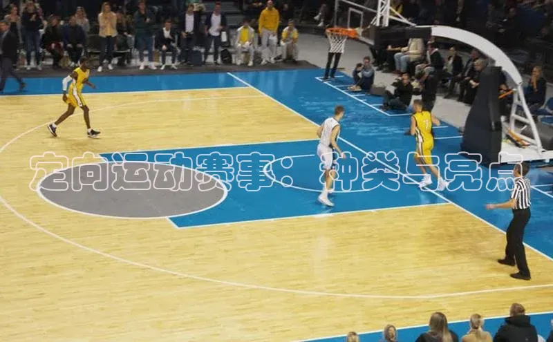 定向运动赛事：种类与亮点