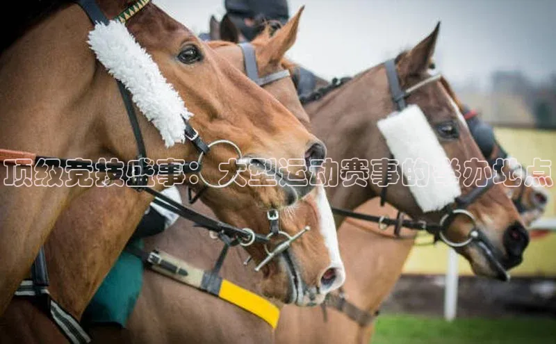 顶级竞技盛事：大型运动赛事的举办地点