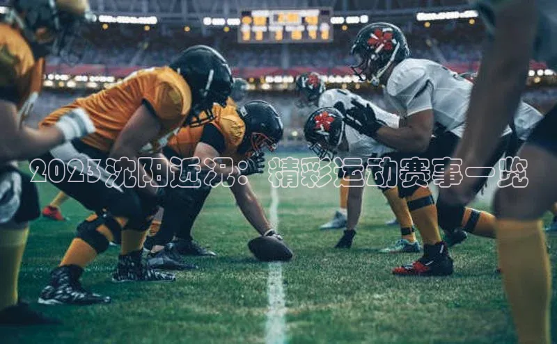 2023沈阳近况：精彩运动赛事一览