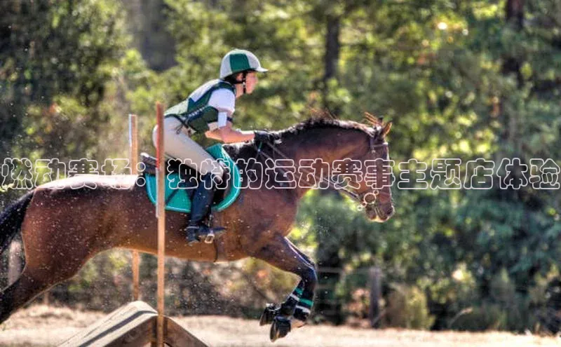 燃动赛场：独特的运动赛事主题店体验