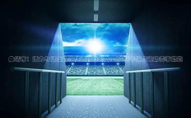 曲靖市：活力与健康的多样运动盛会——2023年体育运动赛事概览