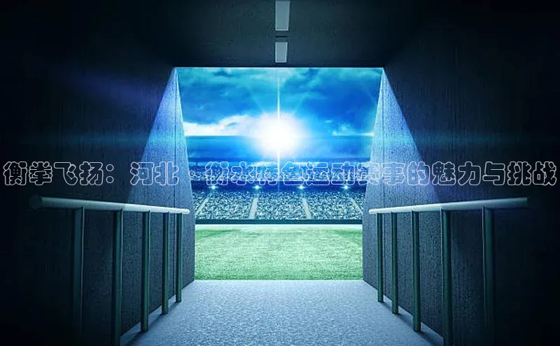 衡拳飞扬：河北·衡水特色运动赛事的魅力与挑战