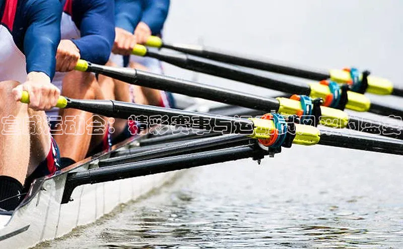 宣威运动会：精彩赛事与运动员风采的盛宴