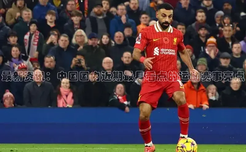 最新资讯：中国国内近期最具看点的运动赛事亮点