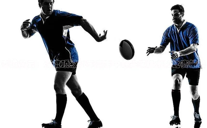 赛道风云：深度顶级汽车赛事中的尖端技术和比赛策略