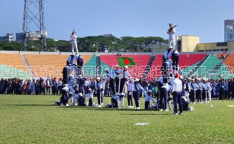 夏日激情：美国热门夏季运动赛事一览