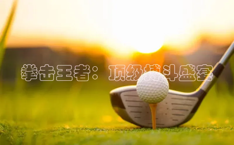 拳击王者：顶级搏斗盛宴