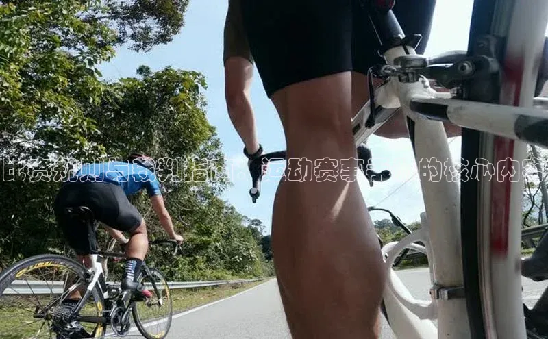 比赛规则与裁判指南：运动赛事手册的核心内容